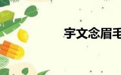 宇文念眉毛（宇文念）