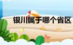 银川属于哪个省区（银川属于哪个省）