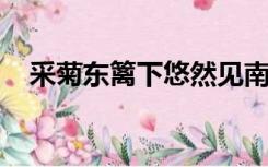 采菊东篱下悠然见南山的意思诚信的图画