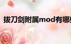 拔刀剑附属mod有哪些（拔刀剑附属mod）