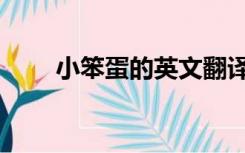 小笨蛋的英文翻译（小笨蛋的英文）