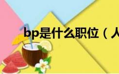 bp是什么职位（人事bp是什么意思）