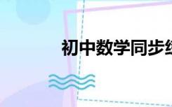 初中数学同步练习七年级上册