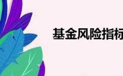 基金风险指标（基金风险）