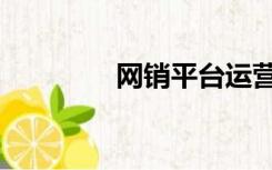 网销平台运营（网销平台）