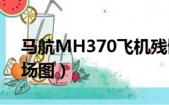 马航MH370飞机残骸（马航mh370死人现场图）