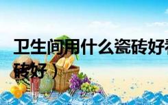 卫生间用什么瓷砖好看图片（卫生间用什么瓷砖好）