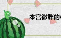 本宫微胖的小说（本宫）