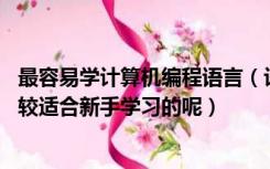 最容易学计算机编程语言（计算机编程语言有哪些 那种是比较适合新手学习的呢）