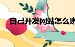 自己开发网站怎么赚钱（网站怎么赚钱）