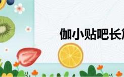 伽小贴吧长篇（伽小吧）