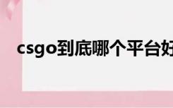 csgo到底哪个平台好（csgo平台哪个好）