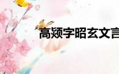 高颎字昭玄文言文翻译（高颎）
