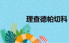 理查德帕切科（索妮帕切科）