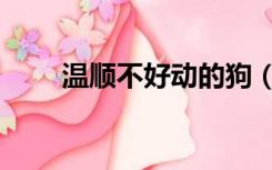 温顺不好动的狗（温顺母狗容易弄）
