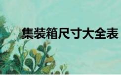 集装箱尺寸大全表（集装箱尺寸大全）