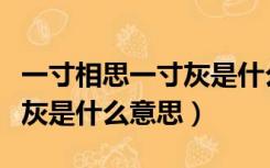 一寸相思一寸灰是什么意思啊（一寸相思一寸灰是什么意思）