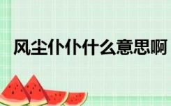 风尘仆仆什么意思啊（风尘仆仆什么意思）