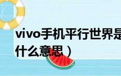 vivo手机平行世界是什么意思（平行世界是什么意思）