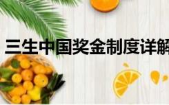 三生中国奖金制度详解（三生中国奖金制度）