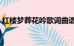 红楼梦葬花吟歌词曲谱（红楼梦葬花吟歌词）
