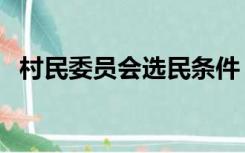 村民委员会选民条件（村民代表资格条件）