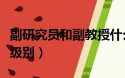 副研究员和副教授什么区别（副研究员是什么级别）