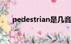 pedestrian是几音节（pedestrians）