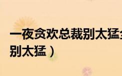 一夜贪欢总裁别太猛全文免费（一夜贪欢总裁别太猛）