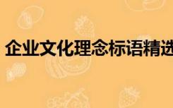 企业文化理念标语精选（企业文化理念标语）