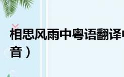 相思风雨中粤语翻译中文（相思风雨中粤语发音）