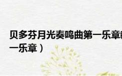 贝多芬月光奏鸣曲第一乐章教学视频（贝多芬月光奏鸣曲第一乐章）