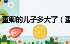 董卿的儿子多大了（董卿个人资料几个孩子）