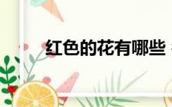 红色的花有哪些 名称（红色的花）