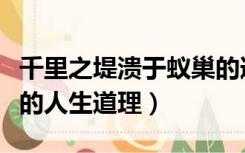 千里之堤溃于蚁巢的道理（千里之堤毁于蚁穴的人生道理）
