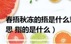 春捂秋冻的捂是什么意思（春捂秋冻是什么意思 指的是什么）