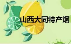 山西大同特产烟（山西大同特产）