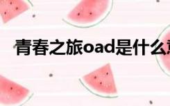 青春之旅oad是什么意思（青春之旅oad）