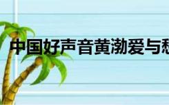 中国好声音黄渤爱与愁第3季_视频在线观看