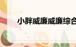 小胖威廉威廉综合症（威廉综合症）