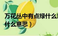 万花丛中有点绿什么意思（万花丛中过一点绿什么意思）