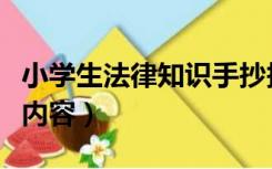 小学生法律知识手抄报内容（法律知识手抄报内容）