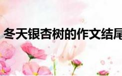 冬天银杏树的作文结尾（冬天银杏树的作文）