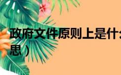 政府文件原则上是什么意思（原则上是什么意思）