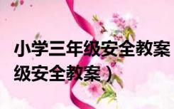 小学三年级安全教案《保护眼睛》（小学三年级安全教案）