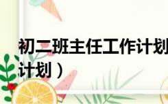 初二班主任工作计划2020（初二班主任工作计划）
