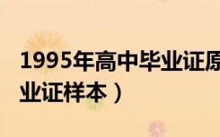 1995年高中毕业证原件图片（1995年高中毕业证样本）