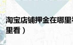 淘宝店铺押金在哪里看的（淘宝店铺押金在哪里看）