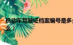 机动车驾驶证档案编号是多少（机动车驾驶证档案编号是什么）