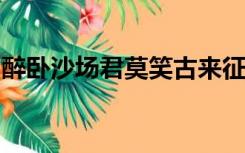 醉卧沙场君莫笑古来征战几人回什么意思简短